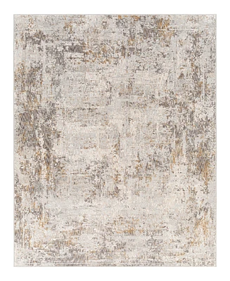 Livabliss Carmel Crl-2304 2'7x4' Area Rug