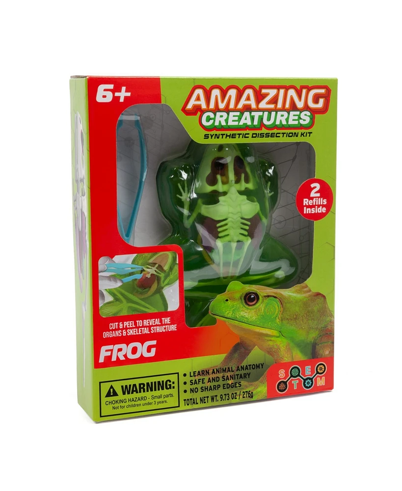 World Tech Toys Amazing Creatures Synthetic Dissection Kit - Frog