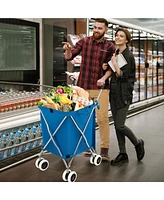Folding Shopping Cart Utility w/ Water-Resistant Removable Canvas Bag
