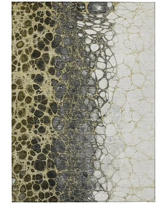 Addison Chantille Machine Washable ACN707 2'6"x3'10" Area Rug