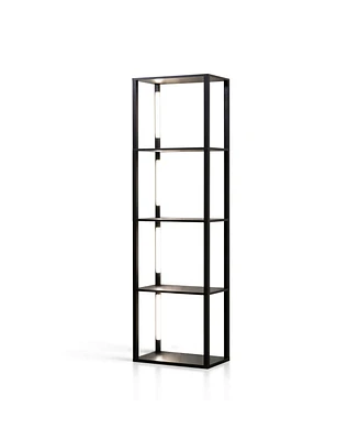 Fenlo Fancy Plus Pro - 64" Display Shelf Lamp with Dimmable Led, Adjustable Color Temp (2700K-6000k), Remote/App Control