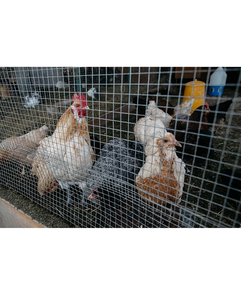 Heavy-Duty Galvanized Hardware Cloth for Multipurpose Fencing and Protection (36" x 100ft, 1/4" Mesh)
