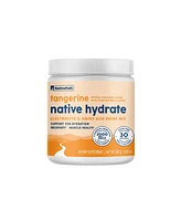 NativePath Native Hydrate, Zero Sugar, Electrolytes Powder with BCAAs, Tangerine Hydration, Keto & Paleo Friendly, 30 Servings