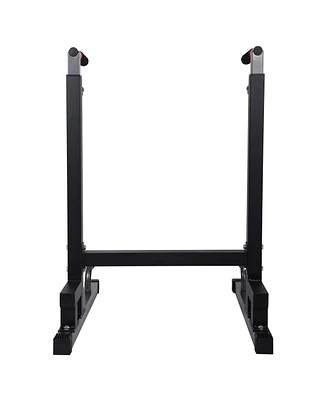 BalanceFrom Multi-Function Home Gym Exercise Dip Stand, 500lb Capacity, Black