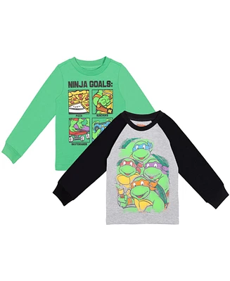 Teenage Mutant Ninja Turtles Little Boys 2 Pack T-Shirts