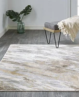 Feizy Parker 3704F 7'9"x10' Area Rug