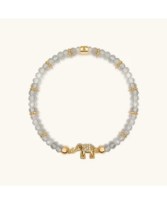 Mind Nourisher - Labradorite Elephant Charm Bracelet
