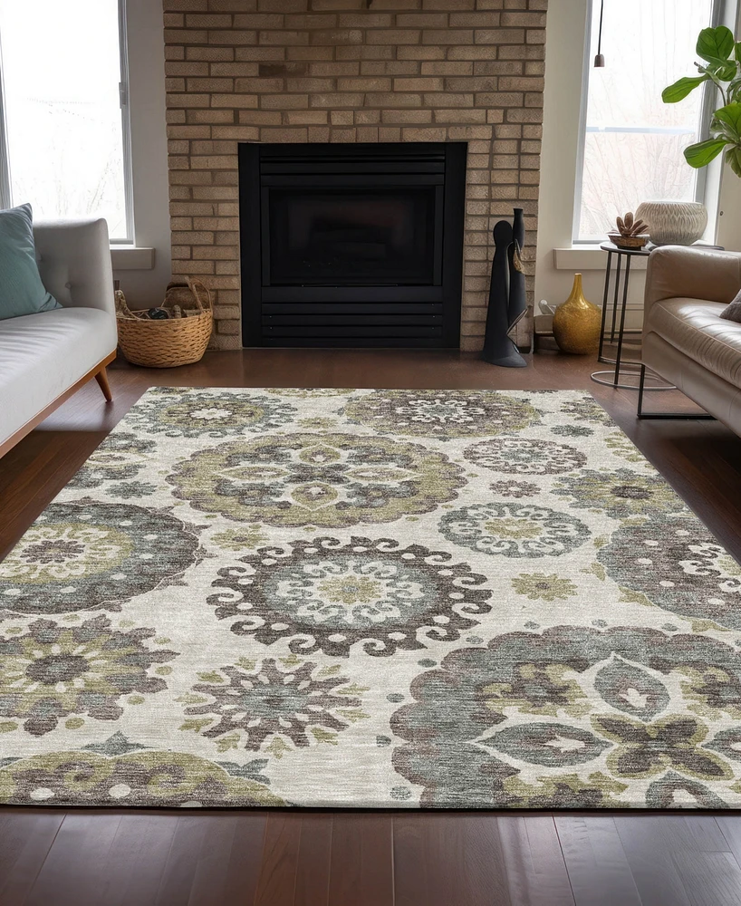 Addison Chantille Machine Washable ACN763 2'6"x3'10" Area Rug