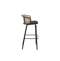 LeisureMod Seat and Black Powder Coated Steel Frame, Set of 2