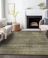 Addison Chantille Machine Washable ACN820 8'x10' Area Rug