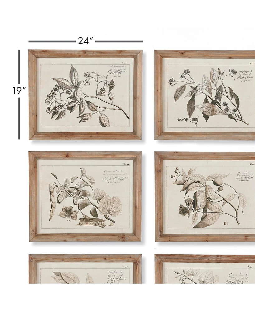 Fruit Bearing Branch Illustrations Set of 6