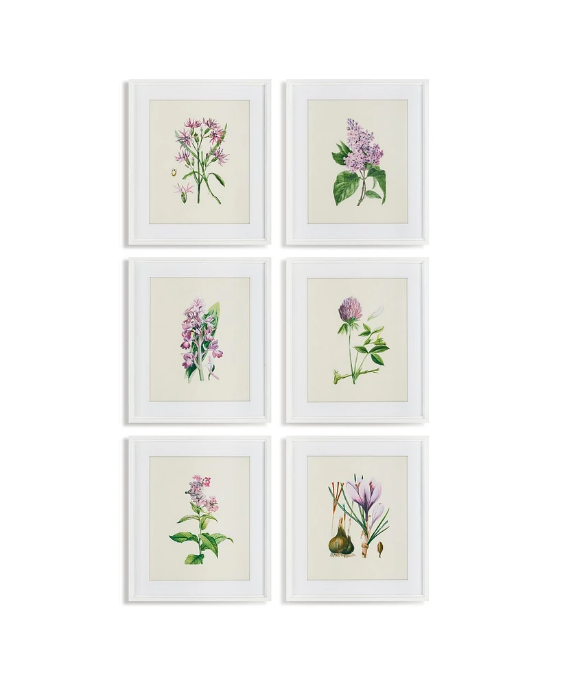 Flower Study Prints Set of 6