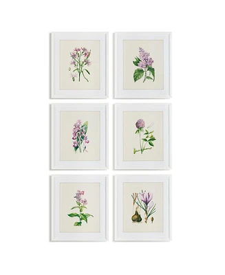 Flower Study Prints Set of 6