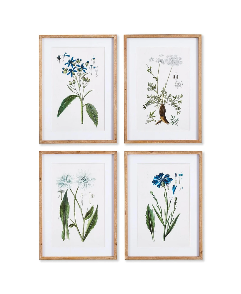 Mountain Botanical Prints Set of 4