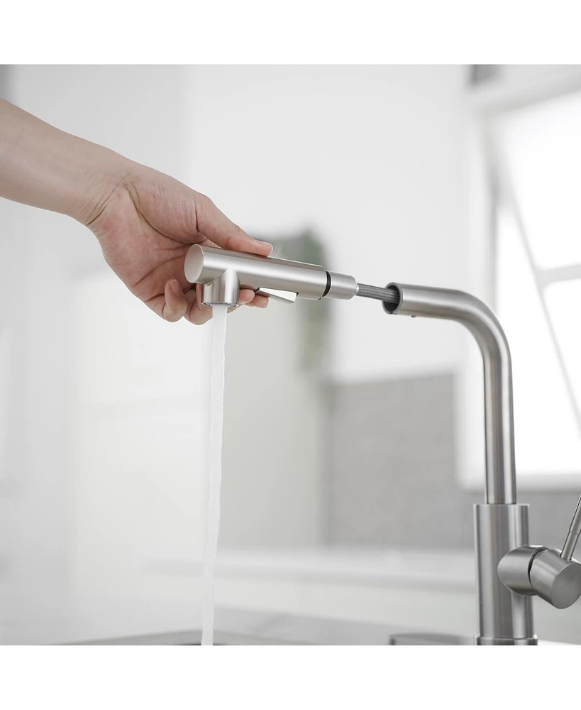 2 Sprayer Single Hole Single-Handle Pull Out Kitchen Faucet 360Swivel Spout