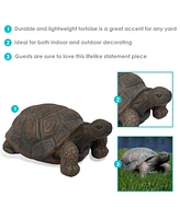 Indoor/Outdoor Lifelike Large Tanya the Tortoise Patio Garden Yard Entryway Decorative Statue - 20"