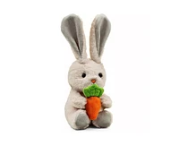 Sperric Toddler Easter Plush and Teether Playset - Squeaky Bunny, Chicken, Egg, Toys Silicone Teethers Perfect Gift for Newborns