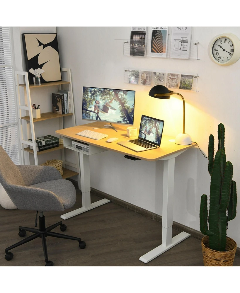 48-Inch Electric Standing Adjustable Desk with Control Panel and Usb Port