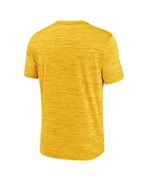 Nike Men's Gold Iowa Hawkeyes 2025 Sideline Velocity Performance T-Shirt