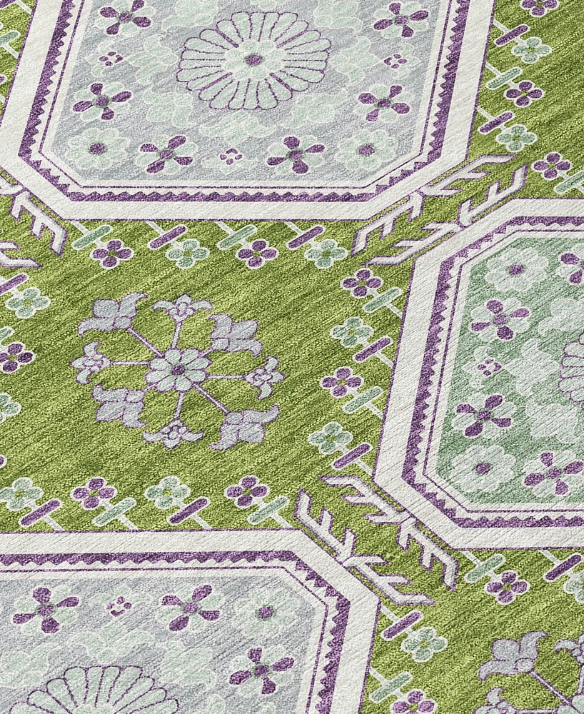 Addison Chantille Machine Washable ACN1446 3'x5' Area Rug