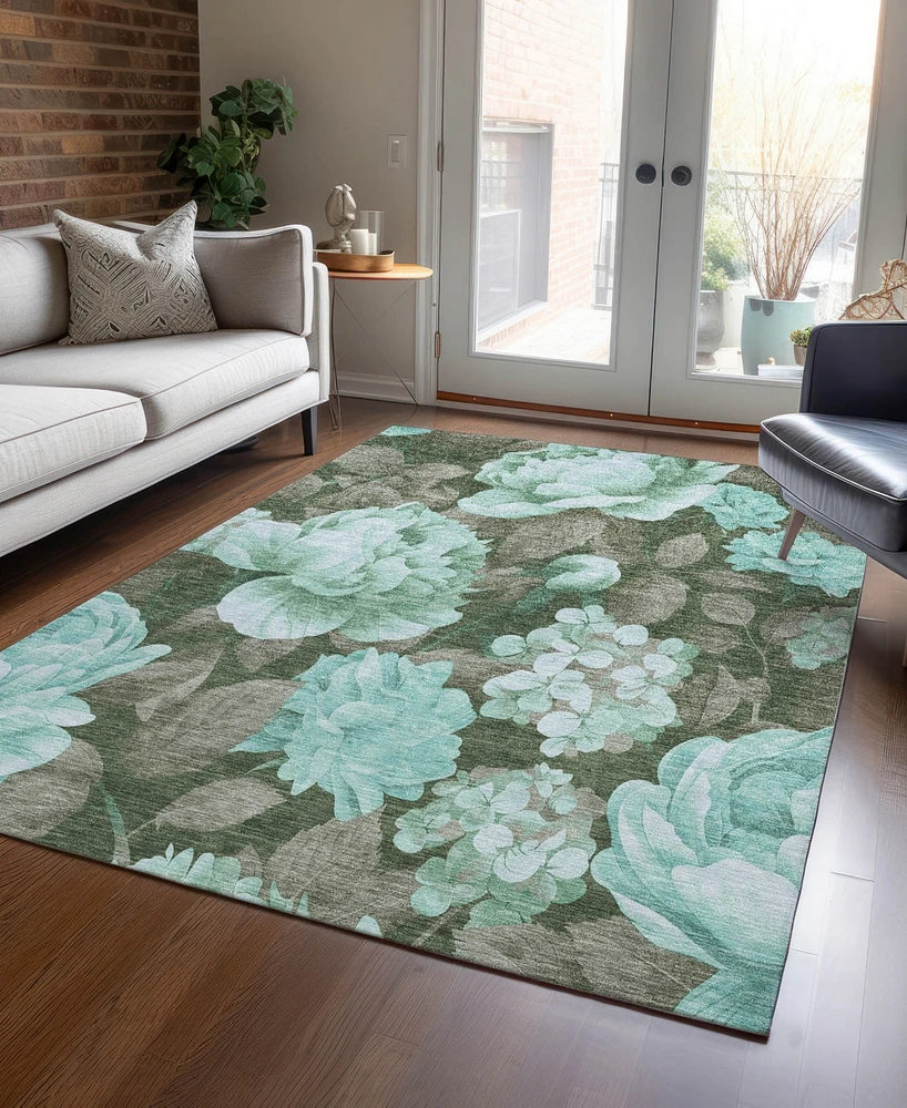 Addison Chantille Machine Washable ACN1565 3'x5' Area Rug