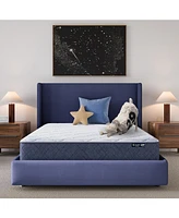 Serta Dream Haven 10" Medium Tight Top Mattress in a Box