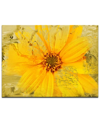 Ready2HangArt 'Painted Petals Xxxvi' Canvas Wall Decor