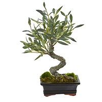 Nearly Natural Mini Olive Artificial Bonsai Tree