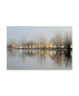 Bor January Morning Canvas Art - 15" x 20"