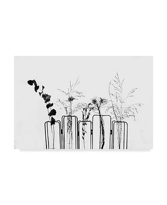1X Prints Black Flowers on White Background Canvas Art - 15" x 20"