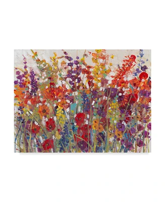Tim Otoole Variety of Flowers Ii Canvas Art - 20" x 25"