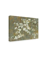 Danhui Nai Dogwood in Spring Crop Canvas Art - 27" x 33.5"
