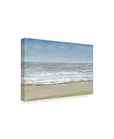 Tim Otoole Beach Walking Day I Canvas Art - 20" x 25"