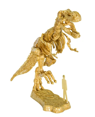 Thames & Kosmos I Dig It! Dinos - 3D T. Rex Excavation Kit