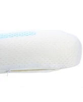Cheer Collection Cooling Gel Pillow, 14" x 23"