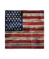 Ambesonne 4th of July Set of 4 Napkins, 12" x 12"