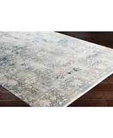 Surya Solar Sor-2307 Mist 3' x 5' Area Rug