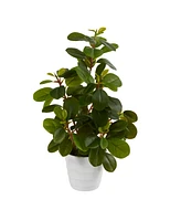 16" Peperomia Artificial Plant in Decorative Planter