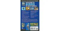 National Wildlife Federation Field Guide to Birds of North America by Edward S. Brinkley