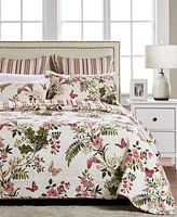 Greenland Home Fashions Butterflies 2-Pc. Quilt Set, Twin