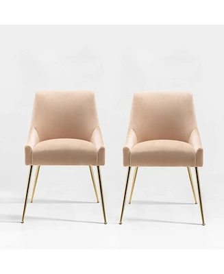 Upholstered Performance Velvet Accent Chair With Metal Leg (Set of 2)