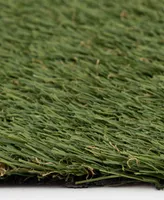 Mink Home Tough Artificial Turf 2236-36oz 7'6" x 10' Outdoor Area Rug