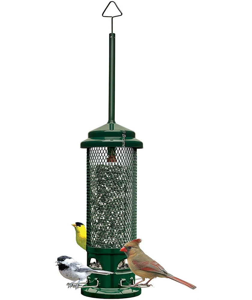 Squirrel Buster Legacy Squirrel-proof Bird Feeder 2.6lb Seed Capacity