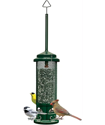 Squirrel Buster Legacy Squirrel-proof Bird Feeder 2.6lb Seed Capacity