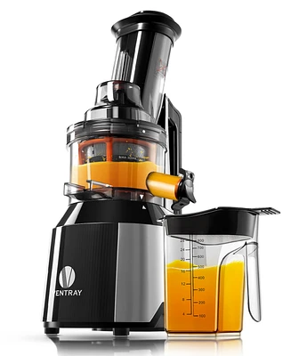 Big Feeding Mouth Masticating Juicer, Large Chute Juice Extractor for Fruit & Vegetable, Black