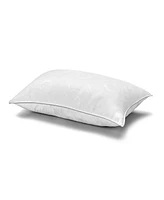 Ella Jayne White Down Firm MicronOne Dust Mite Bedbug Allergen-Free Pillow