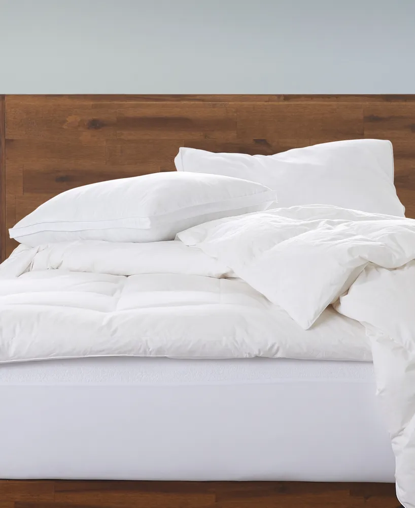 Ella Jayne Gusseted Firm Plush Down Alternative Side/Back Sleeper -Pack Pillow