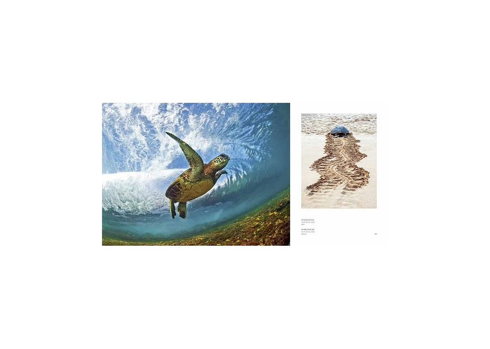 Clark Little- The Art of Waves by Clark Little