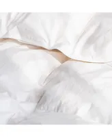 Extra Warm Feather & Down Duvet Comforter Insert - Full Queen