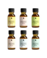 Pursonic Ultimate Aromatherapy Experience: Essential Oil Diffuser & 6-Pack Aromatherapy Oils with Remote Control